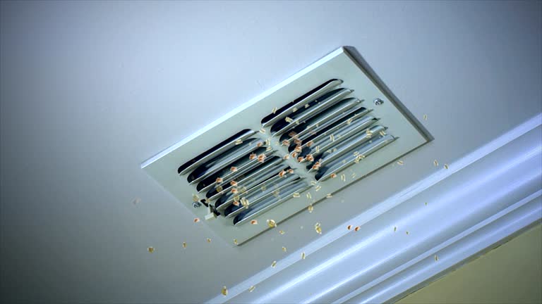 Ductwork Cleaning Services in Lenoir, NC